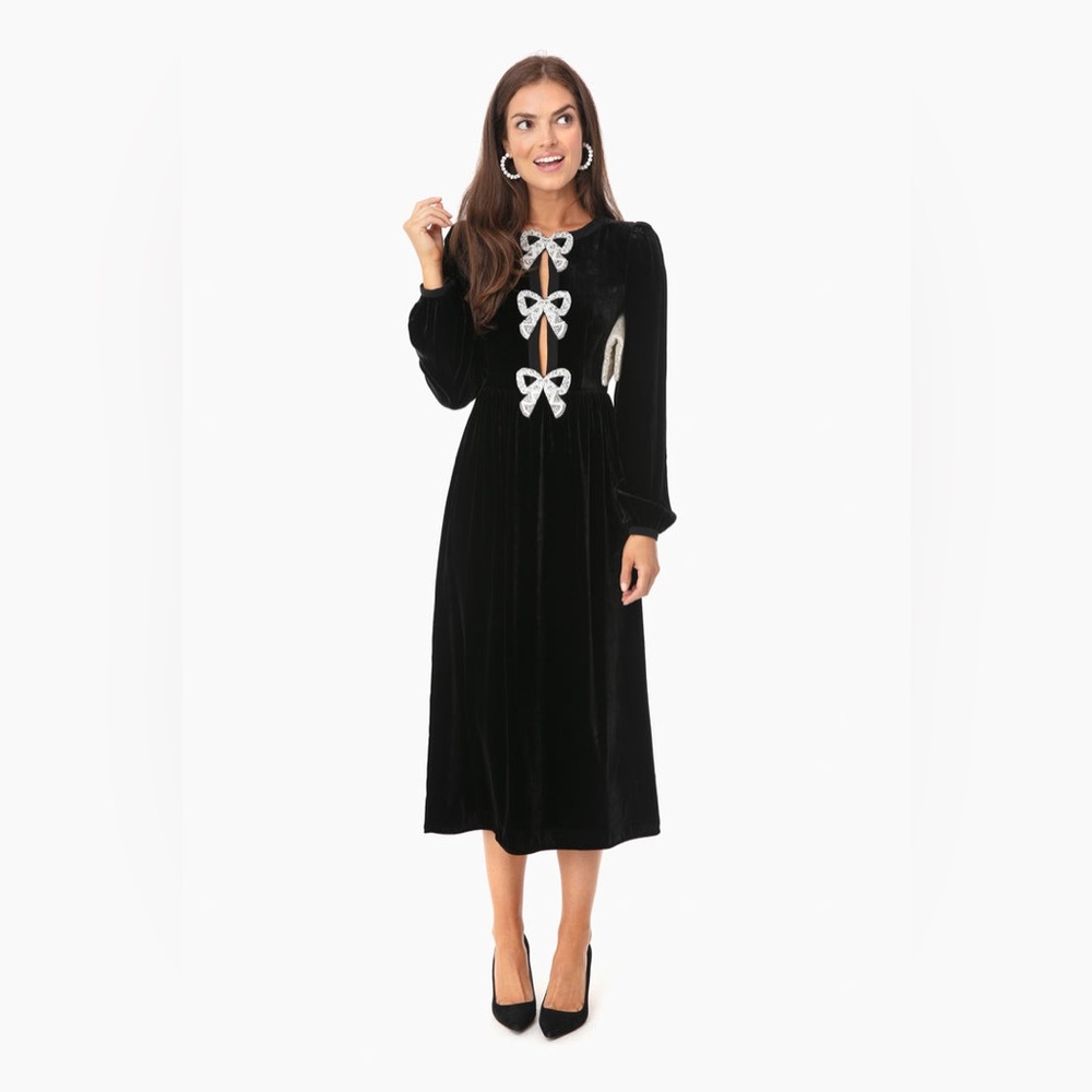 Saloni NWOT size 0 Camille dress